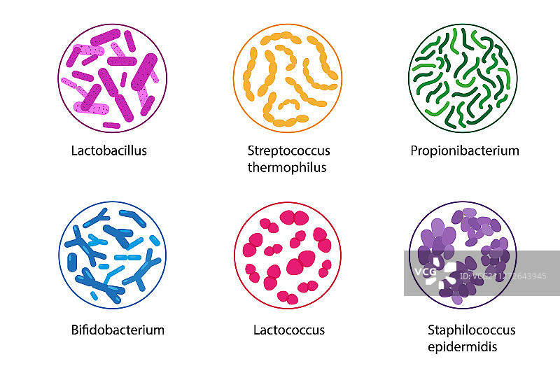 有益细菌组合图片素材