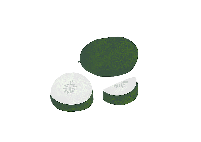 冬瓜的蔬菜插画元素图片素材