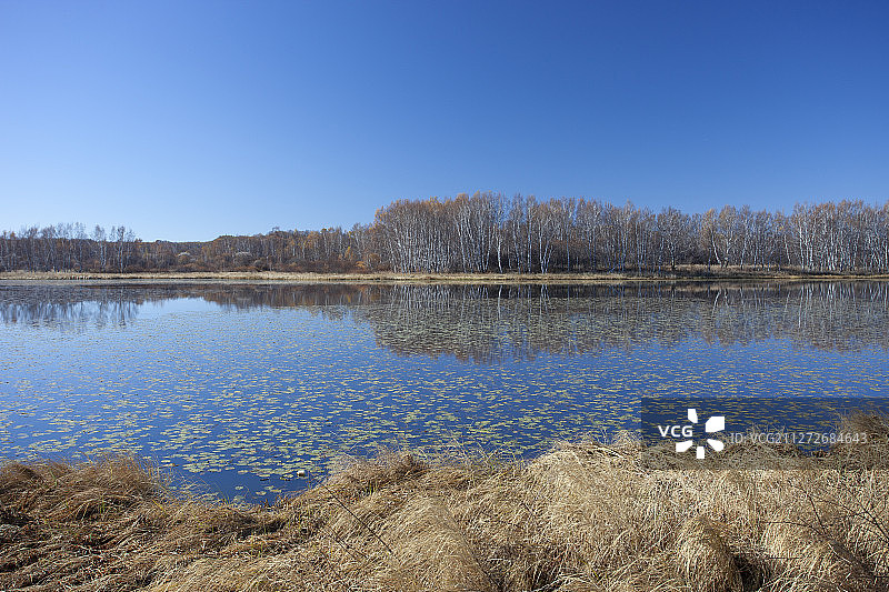 桃山湖秋色图片素材