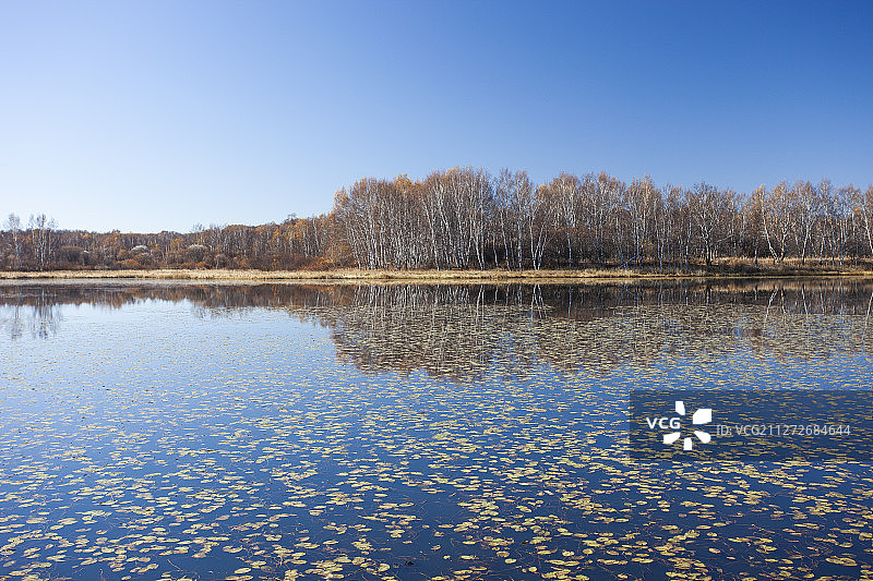 桃山湖秋色图片素材
