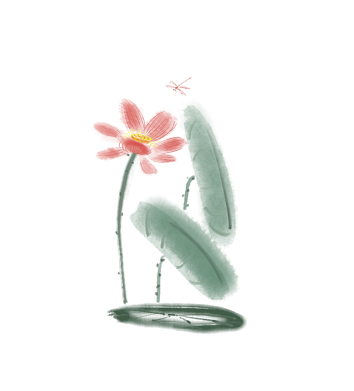荷花蜻蜓图片素材