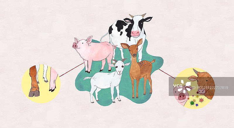 病毒防治动物疾病和虫害概念插画001图片素材