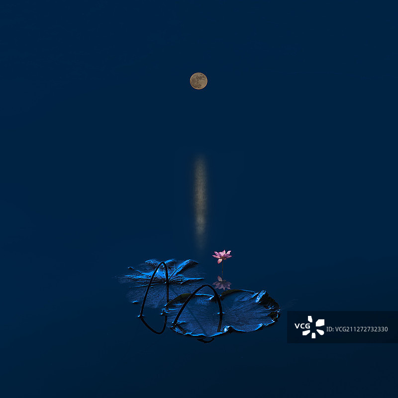 荷如梦，梦如荷，荷非荷，梦非梦。荷开有梦在，梦中有荷开。图片素材