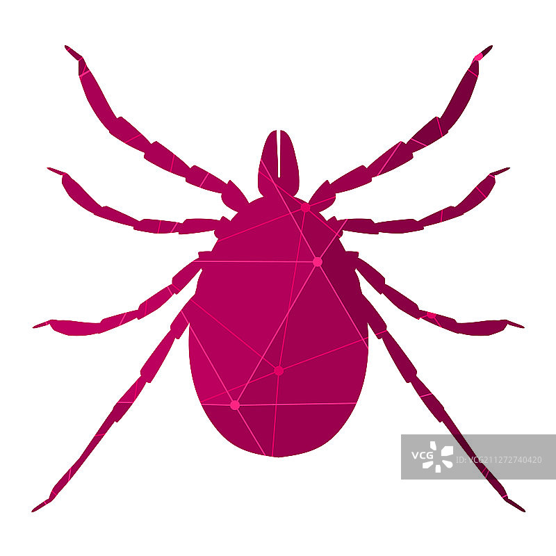 蜱虫寄生虫轮廓图片素材