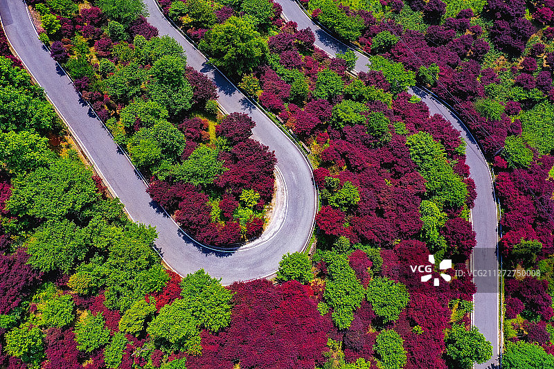 多彩四明山+浙江省宁波市余姚市四明山图片素材