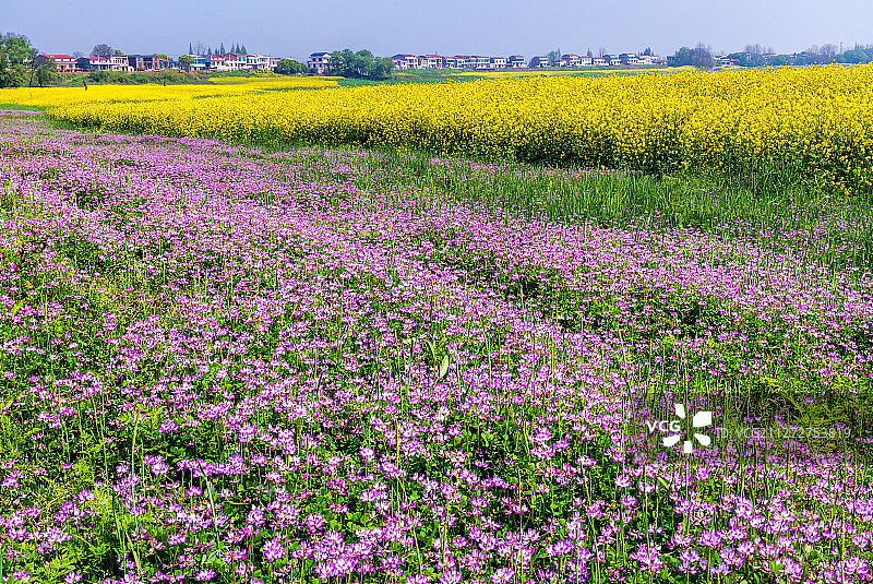 春天的田野图片素材