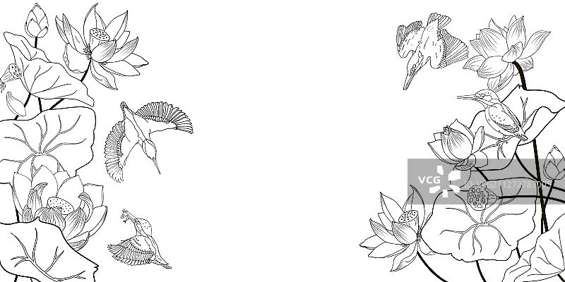黑白荷花与翠鸟图片素材