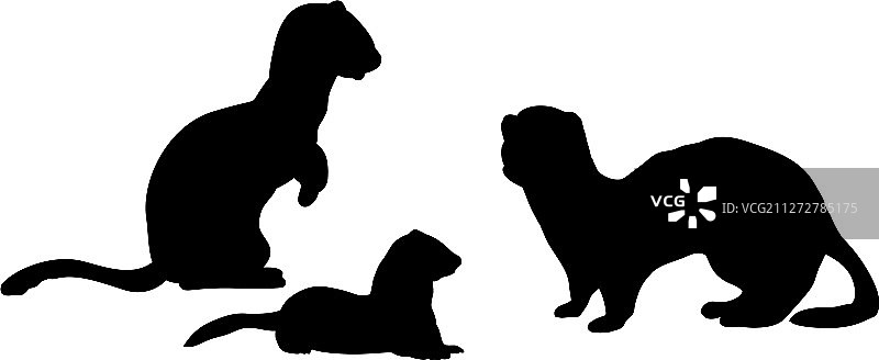 雪貂家庭剪影动物图片素材