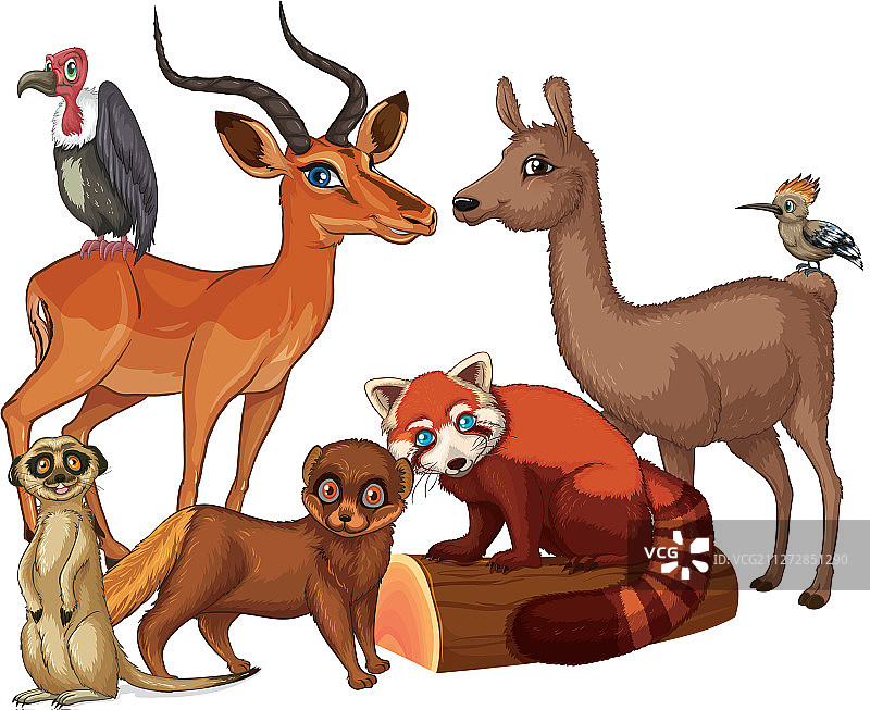 多种动物图片素材