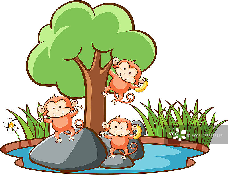 池塘里的猴子场景图片素材