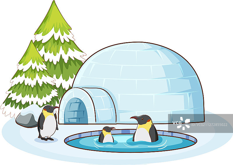 雪地企鹅场景图片素材