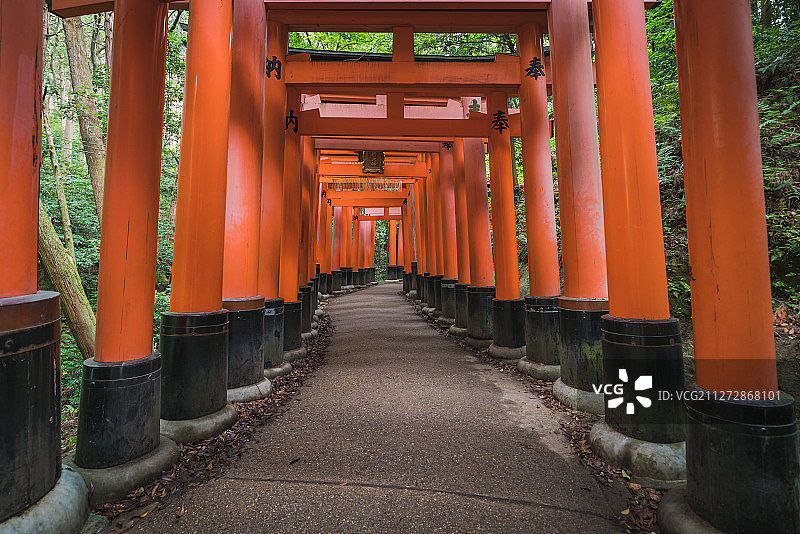日本京都伏见稻荷大社图片素材