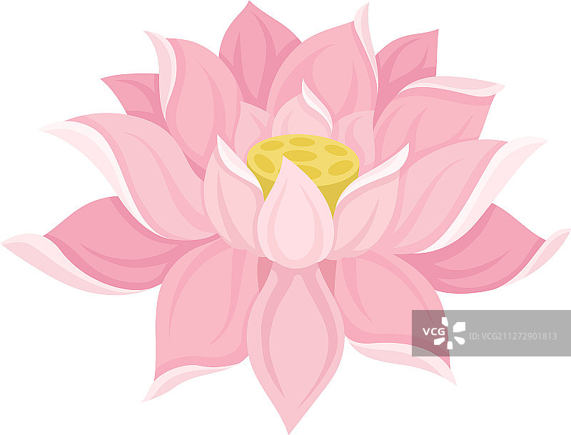 粉色睡莲花瓣图片素材