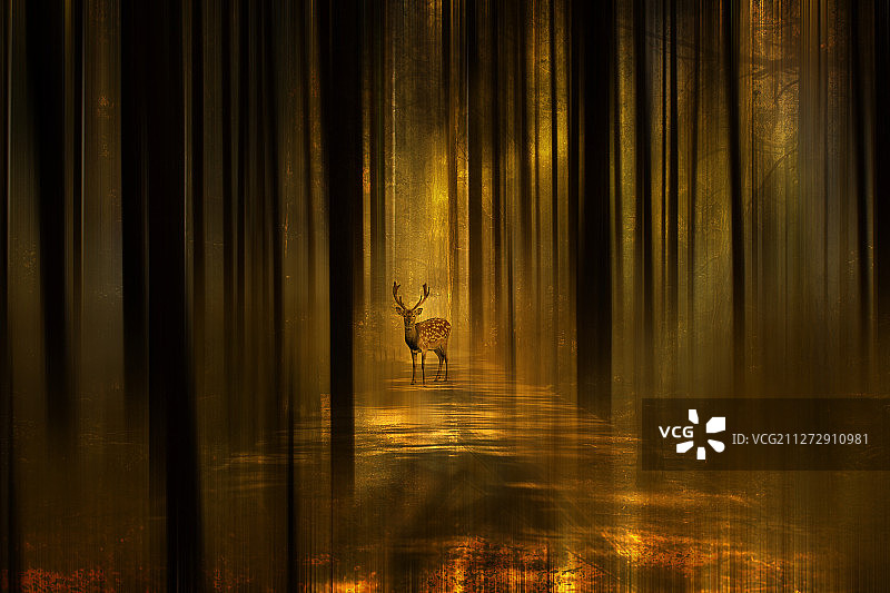 林深时见鹿2图片素材