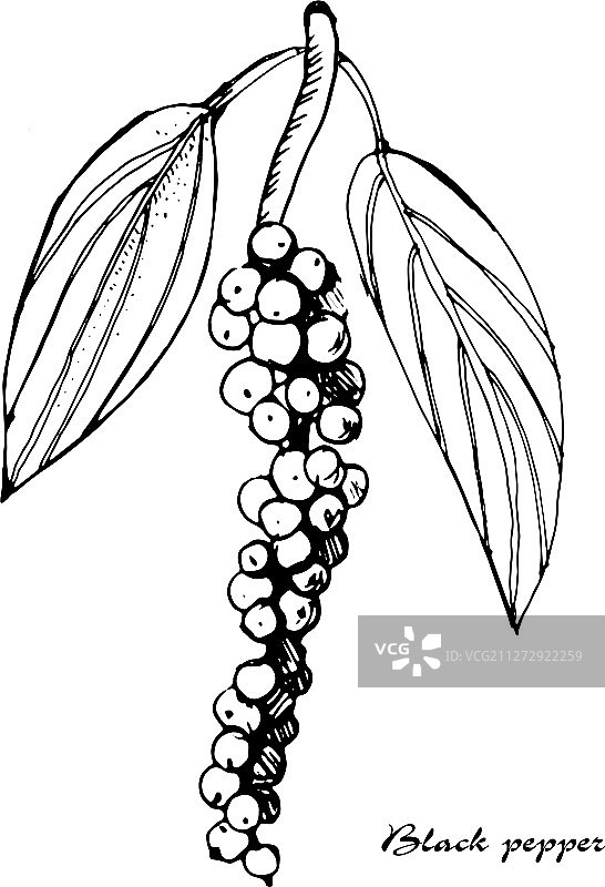 黑色复古墨水手绘图片素材