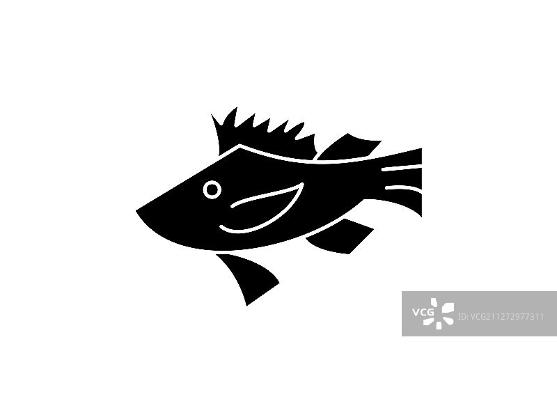 黑色风格的独特鱼类图标，独立于白色背景图片素材