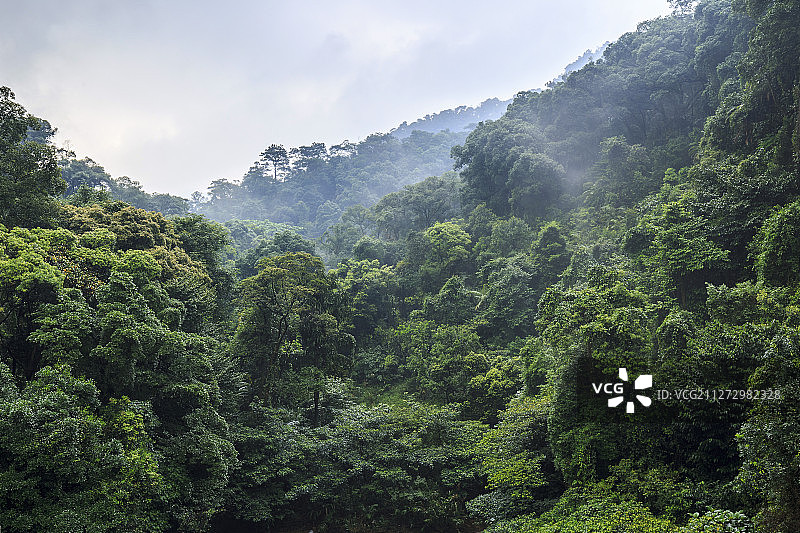 鼎湖山风光图片素材