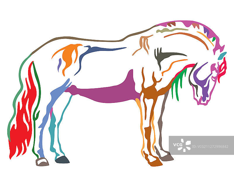 彩色马匹2图片素材