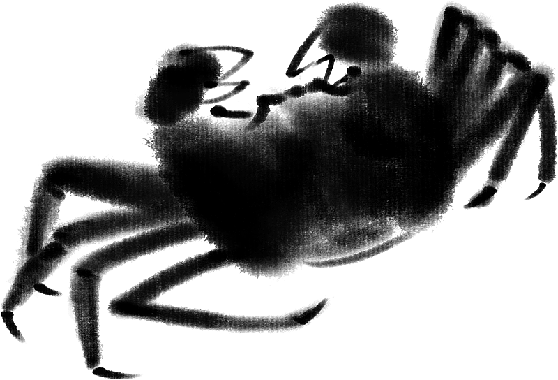 螃蟹图片素材