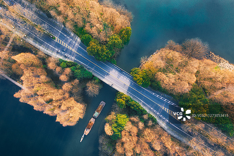 杭州西湖杨公堤初春图片素材