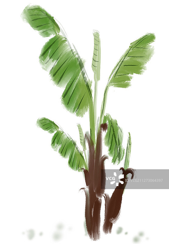 古典庭院芭蕉美人水墨风格 中国风插画图片素材