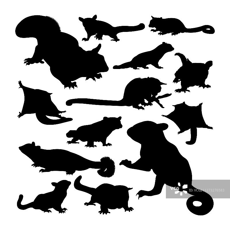 蜜袋鼯动物剪影图片素材