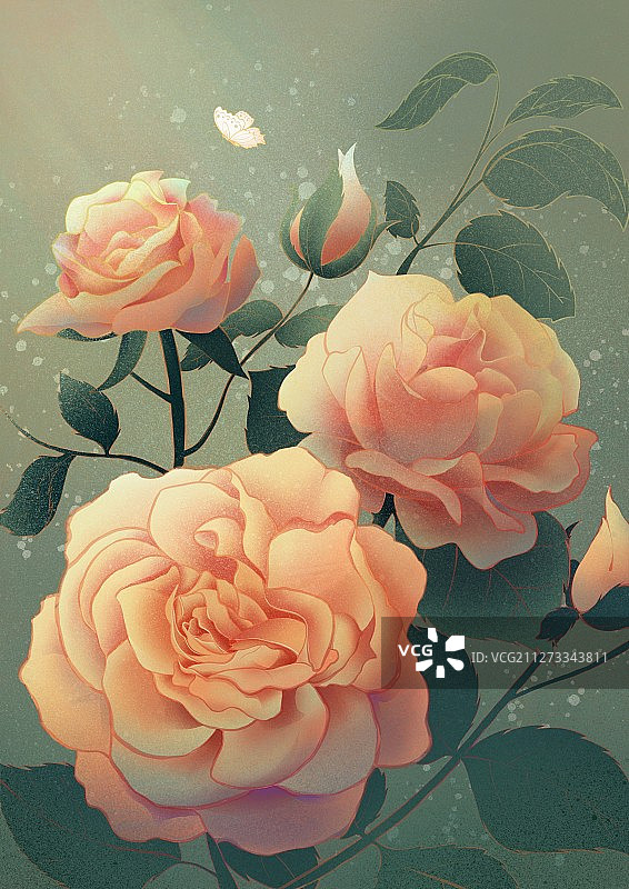 一花一梦·月季花图片素材