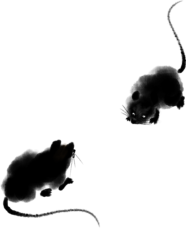 老鼠图片素材