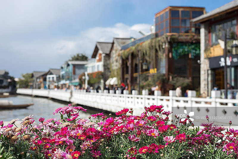 鲜花街景图片素材