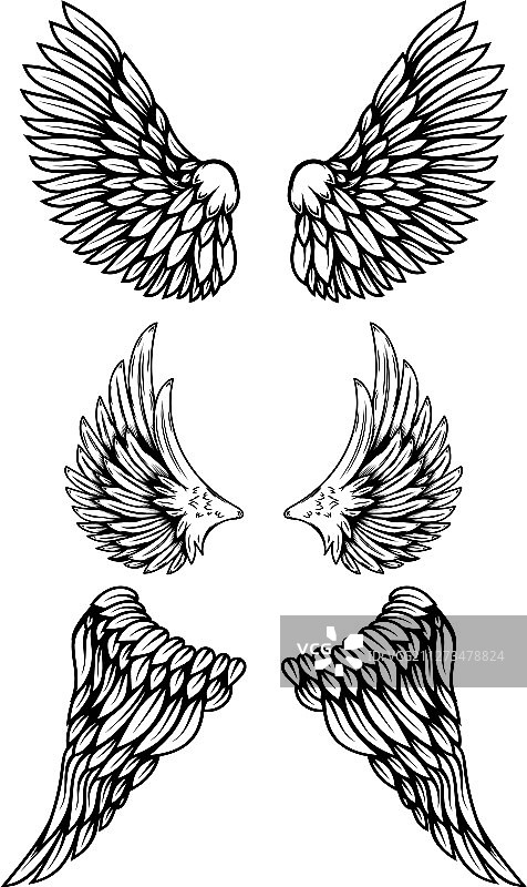 白色背景的纹身风格翅膀图案图片素材