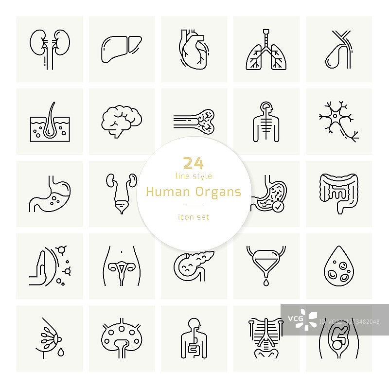 人体内脏器官图标集图片素材