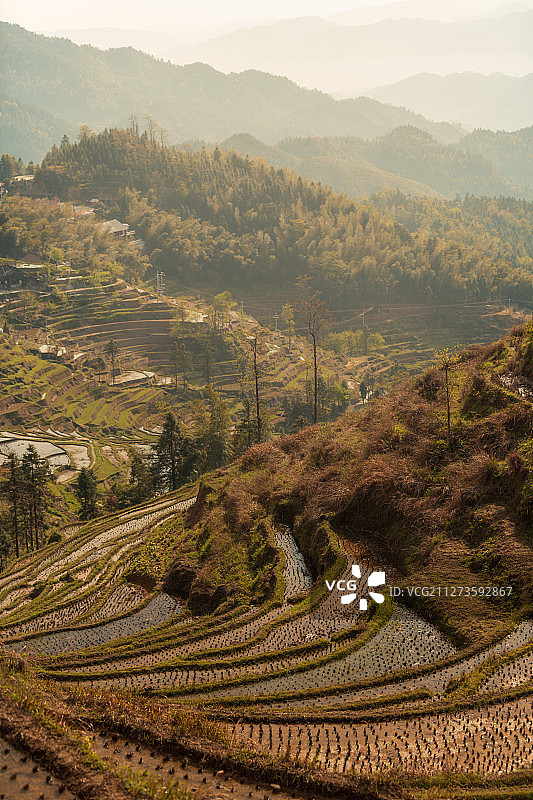 紫鹊界梯田是全球重要农业文化遗产、世界灌溉工程遗产，国家AA图片素材