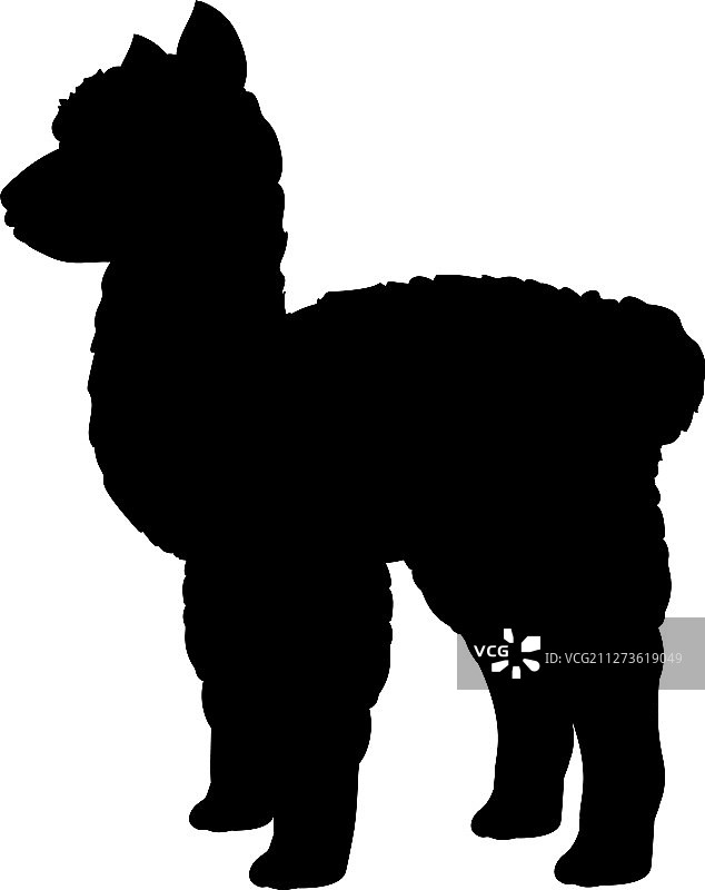 小羊驼幼崽剪影图片素材