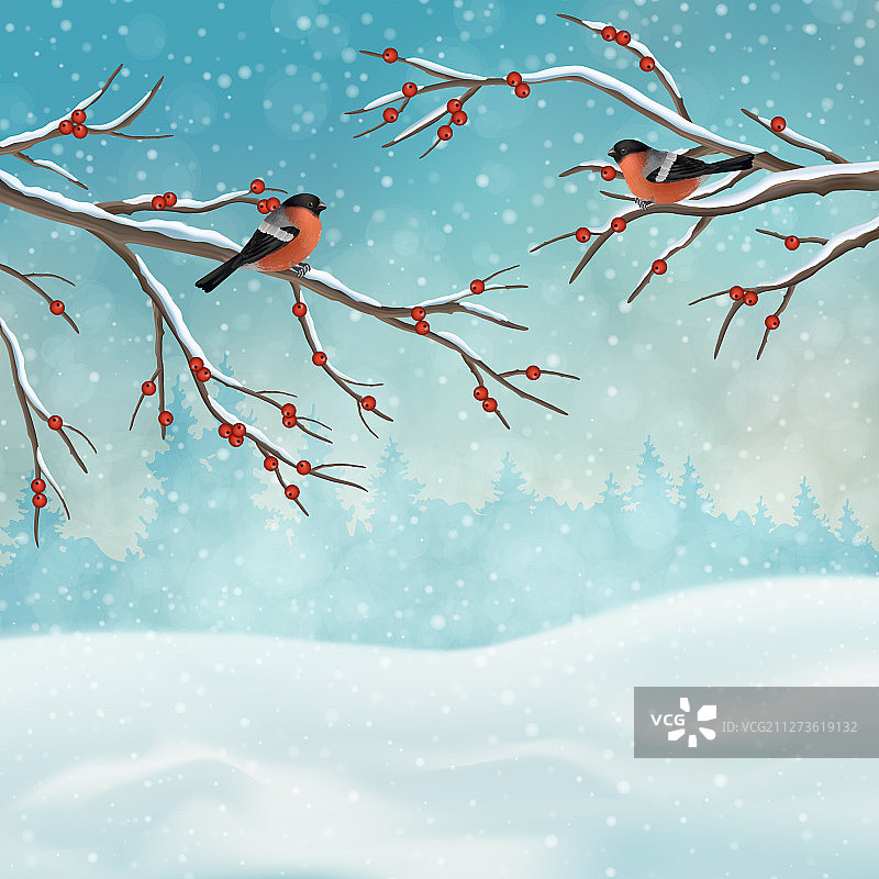 圣诞节假日冬季景观图片素材