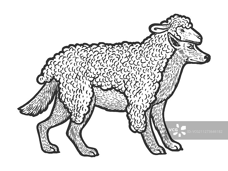 披着羊皮的狼草图图片素材