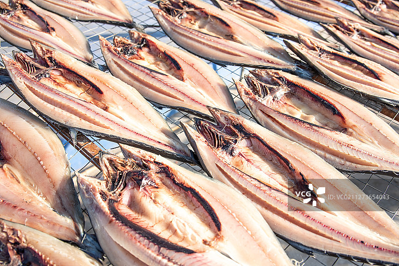 晾晒鱼干图片素材