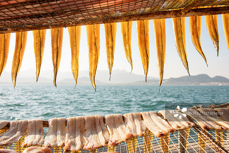 晾晒鱼干图片素材