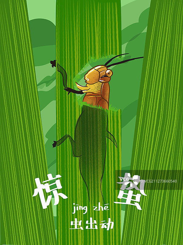 惊蛰草地上的蟋蟀图片素材