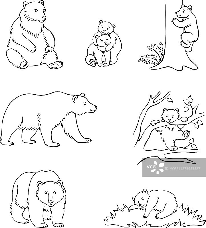 棕熊轮廓图片素材