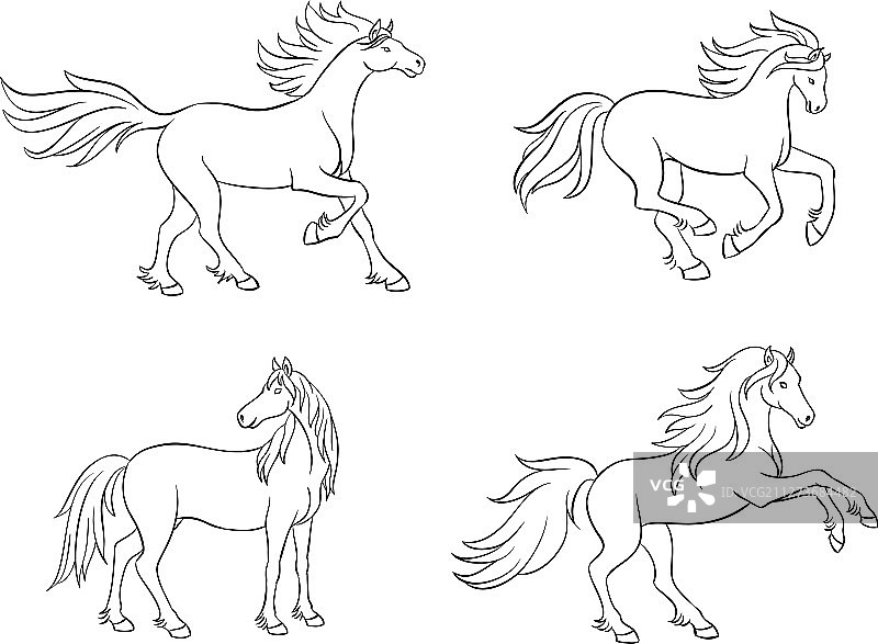 轮廓中的马图片素材