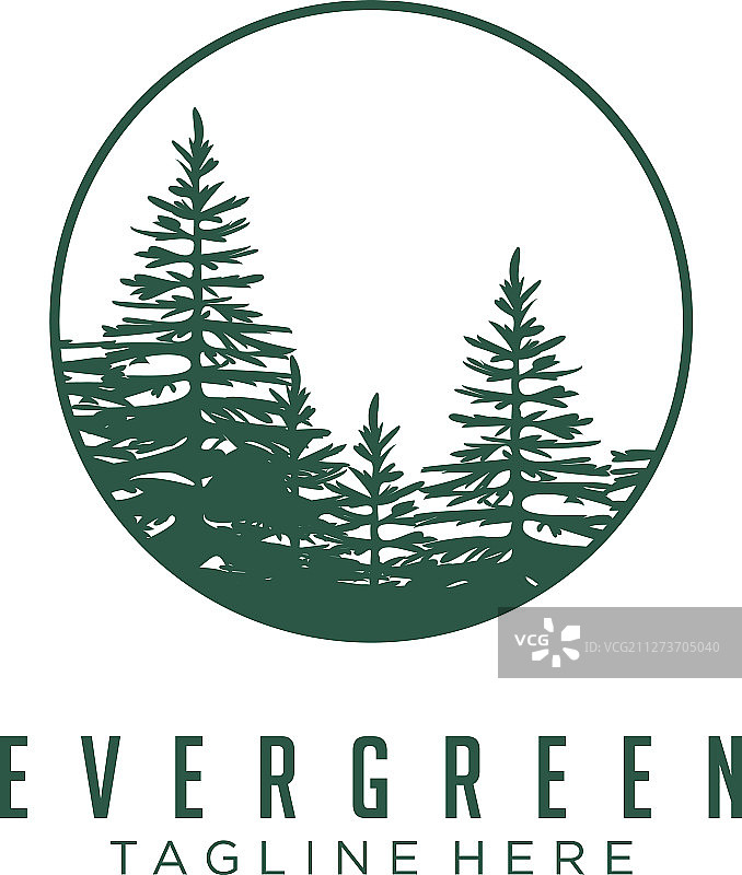 常绿松树云杉雪松树标志设计图片素材