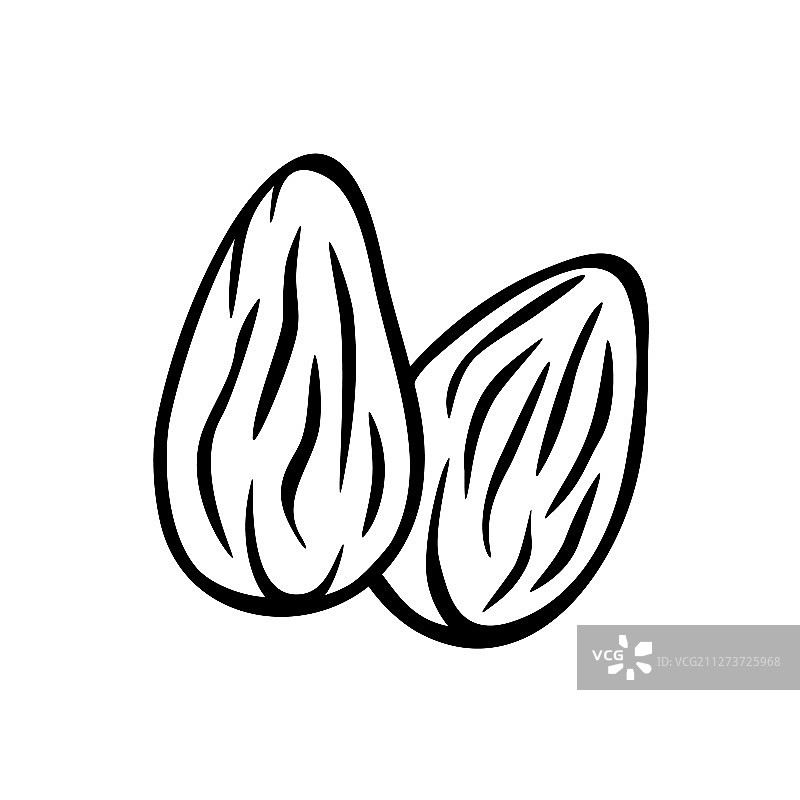 杏仁坚果分离图标（两个）图片素材