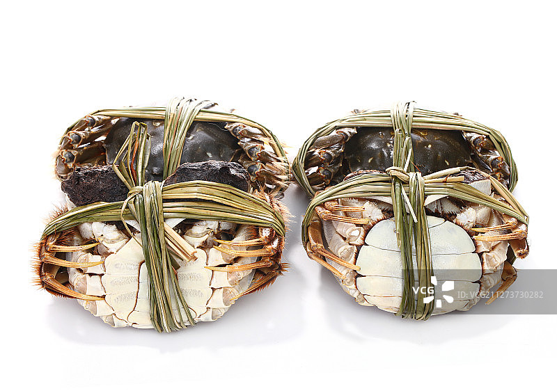 大闸蟹图片素材