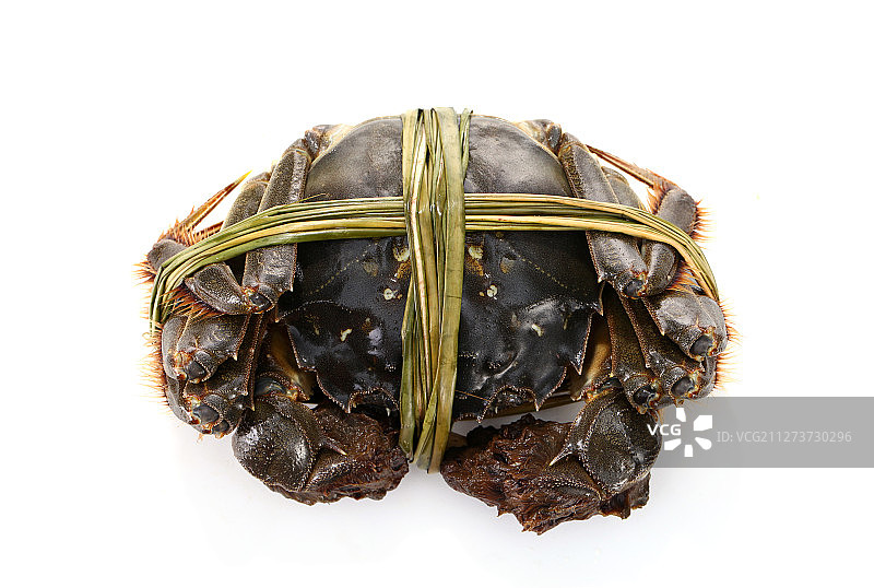 大闸蟹图片素材