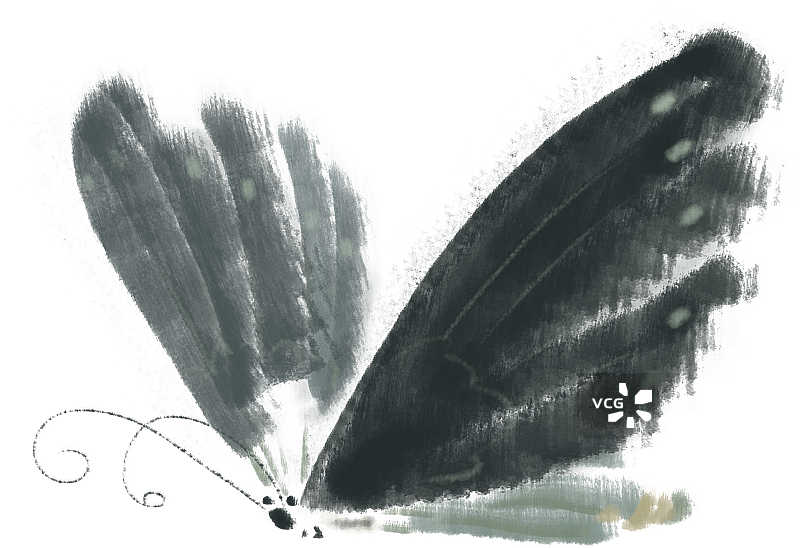 蝴蝶蛾子图片素材