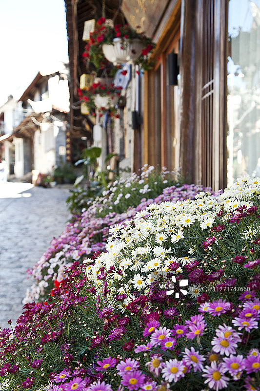 丽江古城小景图片素材
