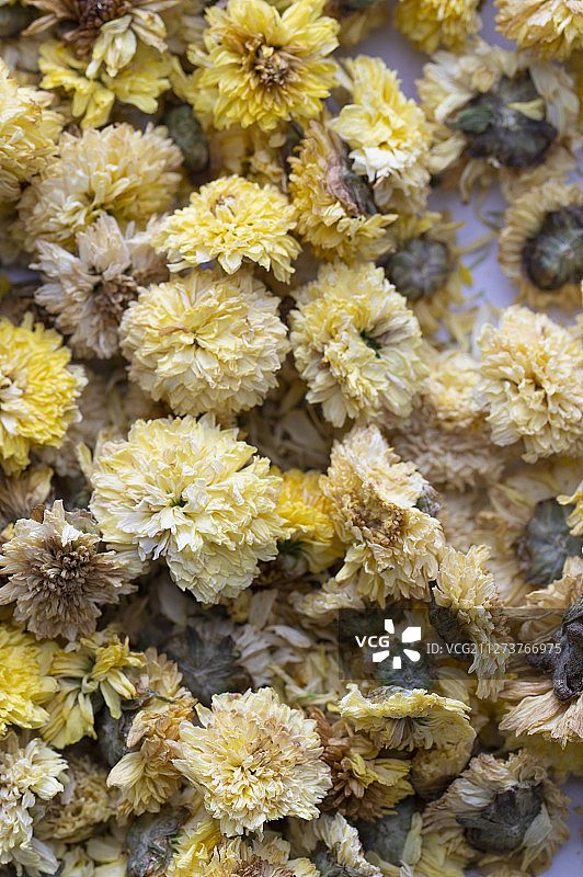 大量泡制菊花茶的菊花图片素材