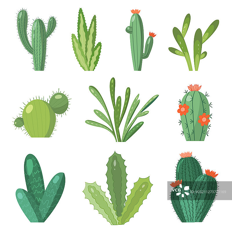 卡通仙人掌套装图片素材