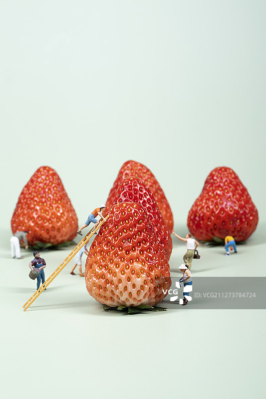 正在摘草霉的人图片素材