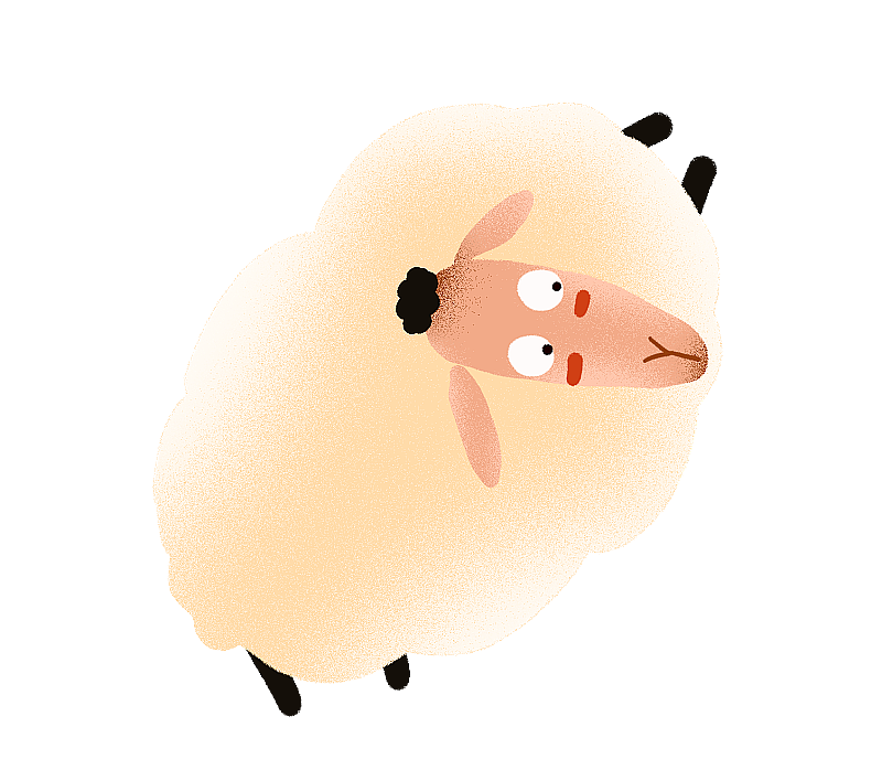 可爱的绵羊图片素材